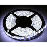 Strip Led SC-5050-60-R-5